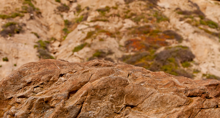 Coastal bluffs