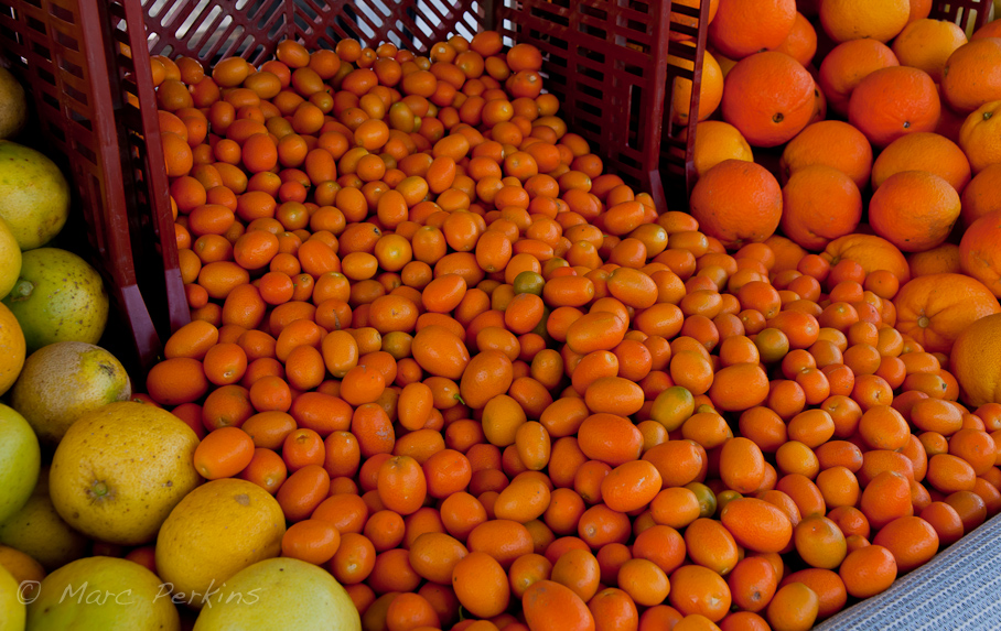 Flowing kumquats