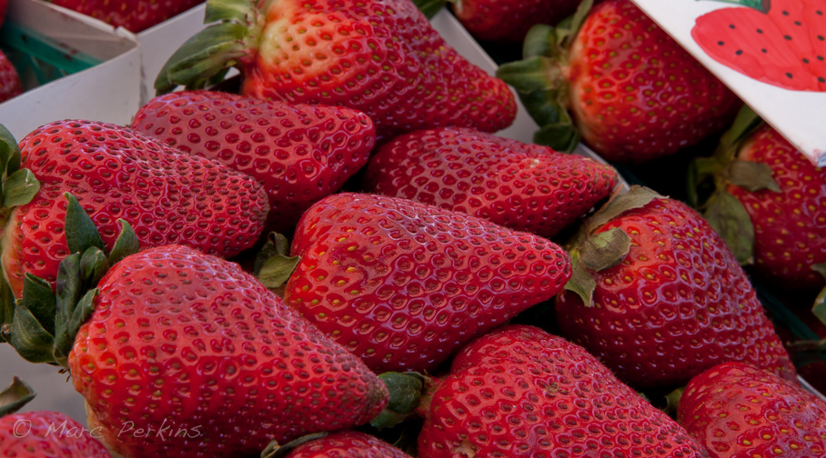 Red, ripe strawberries
