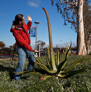 Picture of Marc in front of an Agave